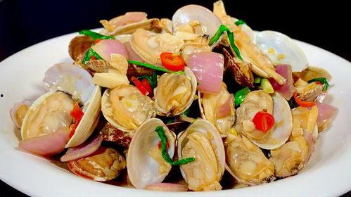 炒花哈生活照,捕捉日常美好时光